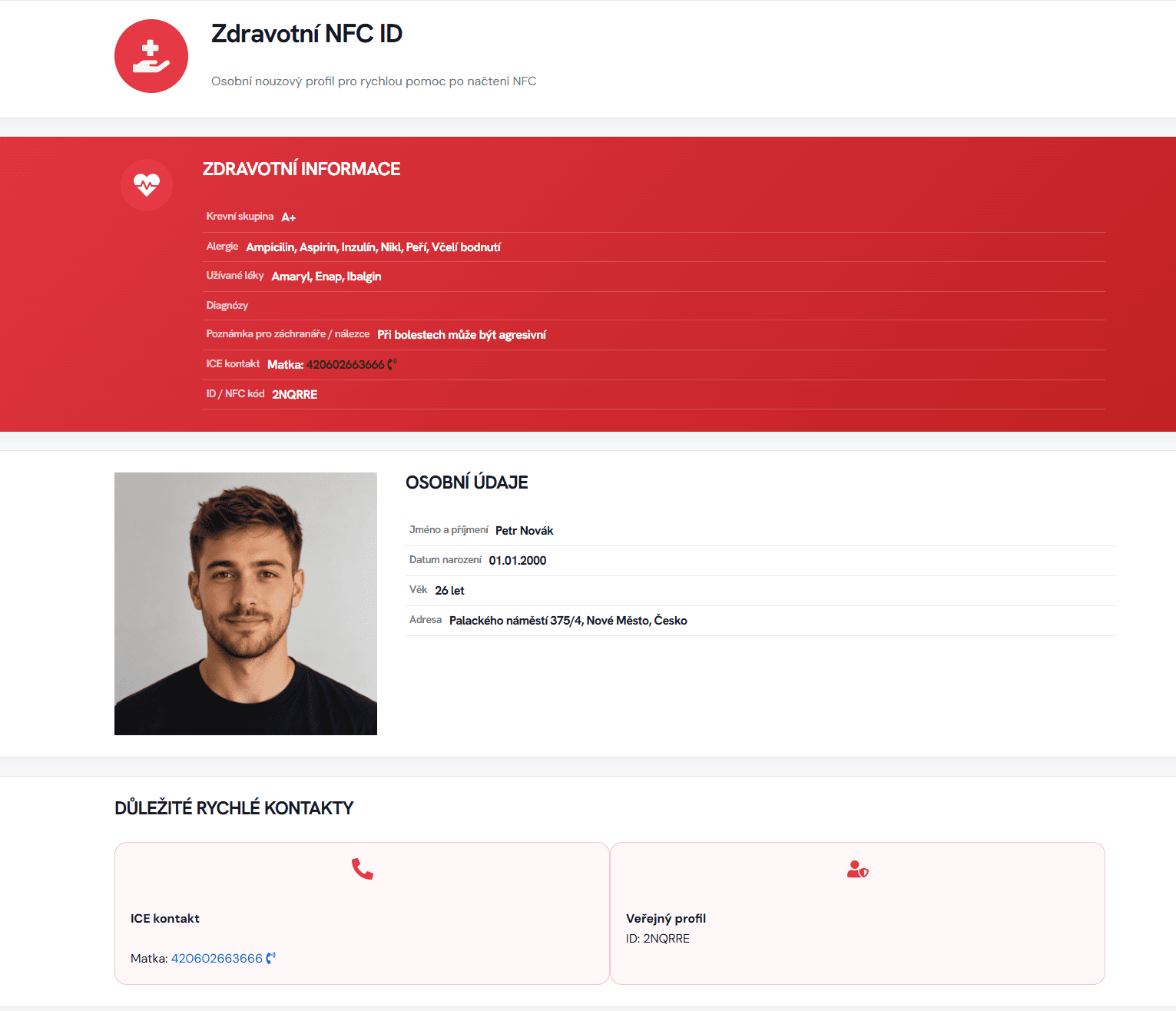 Náhled moderní šablony zdravotního NFC profilu